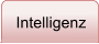 Intelligenz
